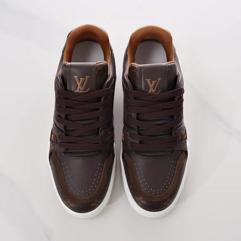 Louis Vuitton Shoe 